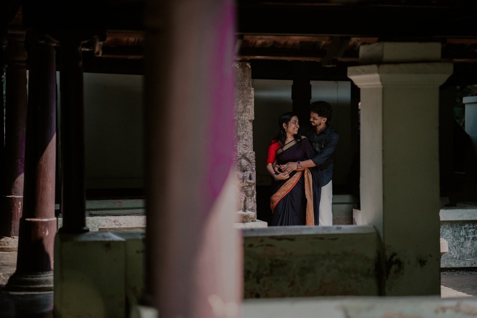 a forest after an apocalypse